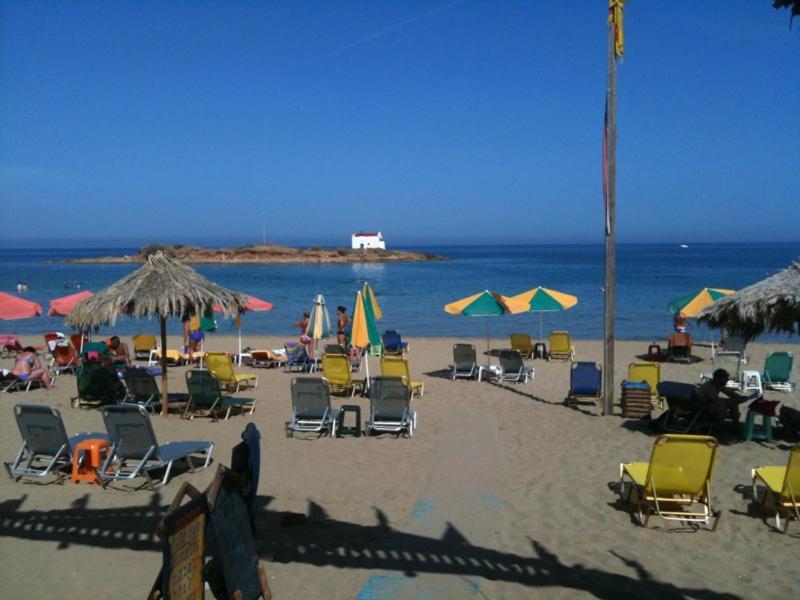 Dolphin Studios Malia Dış mekan fotoğraf