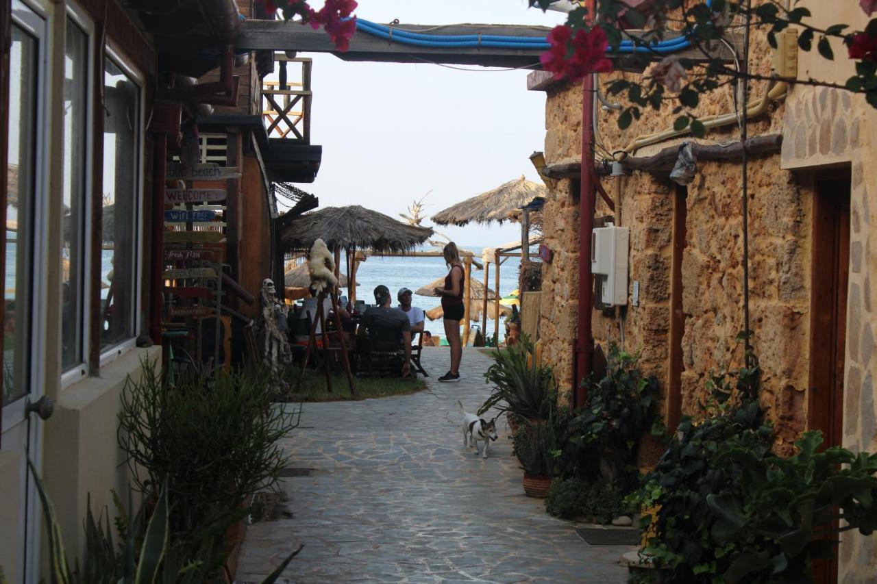 Dolphin Studios Malia Dış mekan fotoğraf