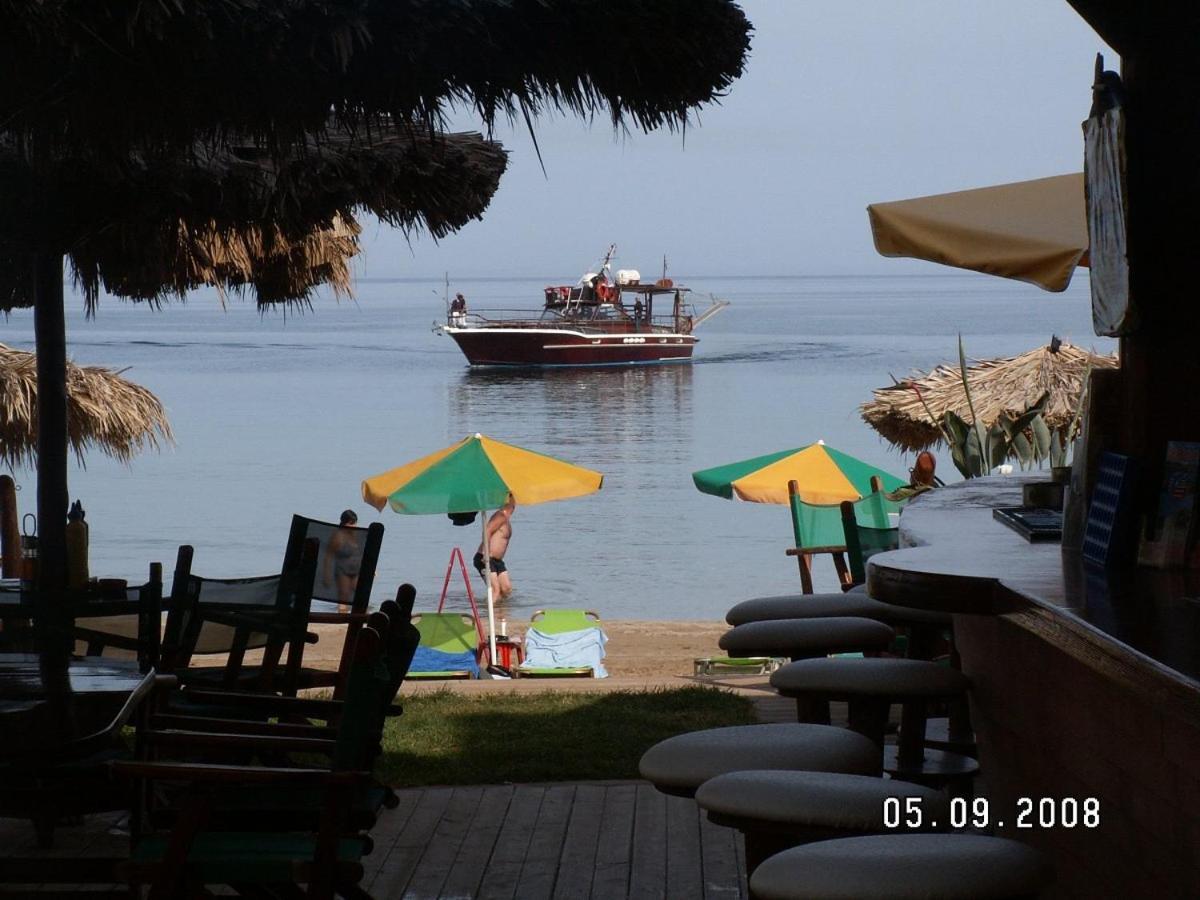 Dolphin Studios Malia Dış mekan fotoğraf